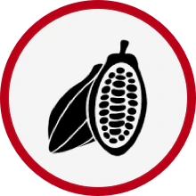 Kakao Icon